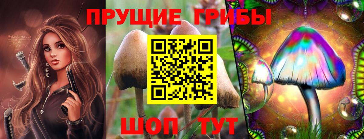 Псилоцибиновые грибы Psilocybine cubensis  цены наркотик  Южно-Сахалинск  Вход с VPN 