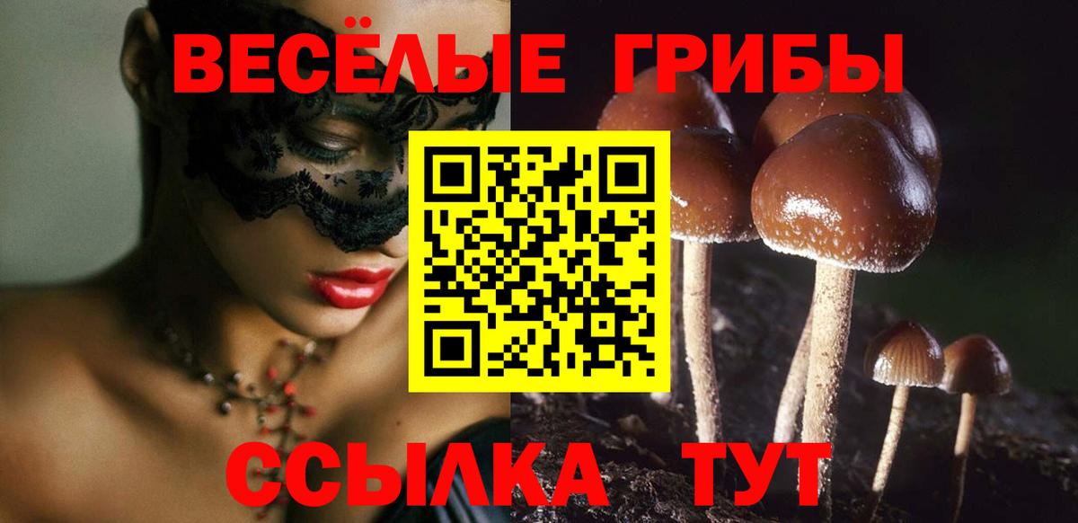 Галлюциногенные грибы Psilocybe Южно-Сахалинск